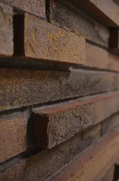 Комбинация половинок кирпича и плитки (3D кладка) для стен, фасада и цоколя Комбинация половинок кирпича и плитки (3D кладка)